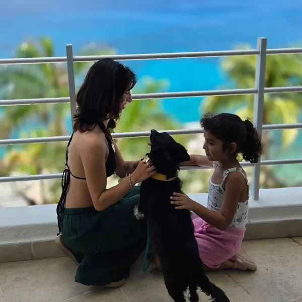 Dog Friendly Hotel B Unique Cozumel Dog Friendly Hotel B Unique Cozumel