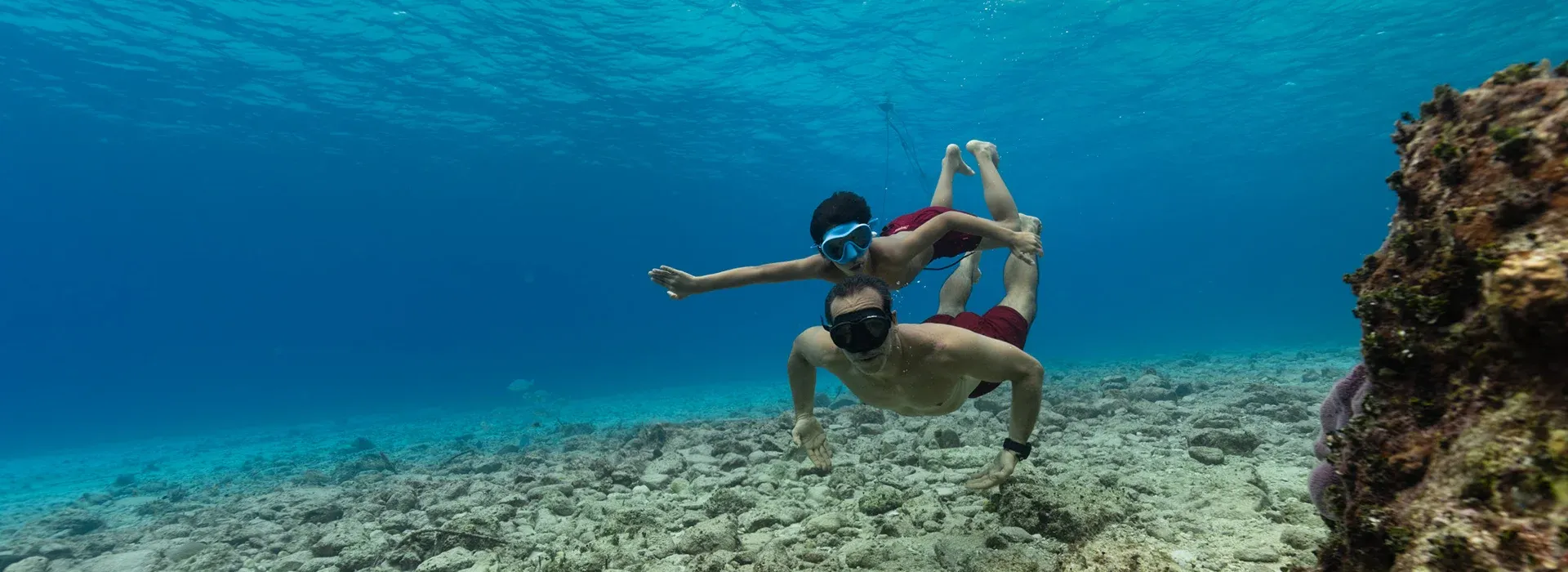 Buceo & Snorkel Hotel B Unique Cozumel Buceo & Snorkel Hotel B Unique Cozumel