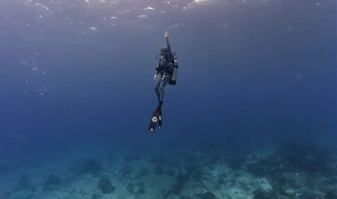 Buceo & Snorkel Hotel B Unique Cozumel Buceo & Snorkel Hotel B Unique Cozumel